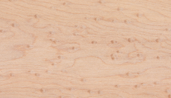 Birdseye Maple